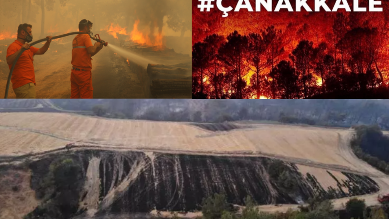 Son Dakika! Çanakkale ve Eskişehir'deki orman yangınları kontrol altına alındı mı?