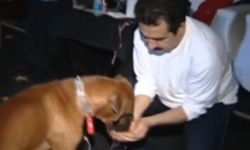 İbrahim Tatlıses’ten sitemli ‘köpek’ paylaşımı