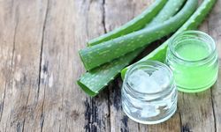 Aloe Vera Nedir? Faydaları Nelerdir?