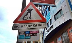 Beşiktaş'a "Kedi ve köpek çıkabilir" tabelaları yerleştirildi