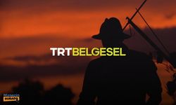 TRT’de Belgesel ‘Sinema Kuşağı’ Başlatılacak; Yayın Akışı Belli Oldu