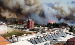 Hatay'ı Yakıp Kavuran Yangınla İlgili Korkunç İddia