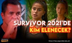 Survivor 2021'de kim elenecek? Ayşe mi, Aleyna mı Steven mi?