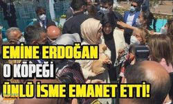 Emine Erdoğan ses telleri kesilen köpeği ünlü sanatçıya emanet etti