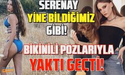 Serenay Sarıkaya çeşit çeşit bikinilerle poz verdi! Hayranlarını büyüledi...