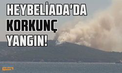 Son dakika: Heybeliada'da orman yangını çıktı!