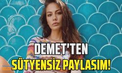 Demet Özdemir'den sütyensiz paylaşım!