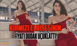 Nesrin Cavadzade'nin elbisesinin fiyatı dudak uçuklattı!