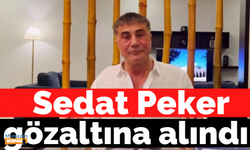 El Cezire'nin Sedat Peker haberi gündemi salladı!