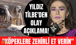 Yıldız Tilbe'den tepki çekecek çıkış: Saldırgan köpeklere zehirli et verin, gebersinler