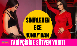 Sinirlerine hakim olamayan Ece Ronay'dan takipçisine sütyen yanıtı