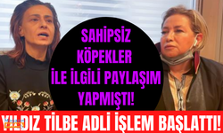 Yıldız Tilbe, sahipsiz köpeklerle ilgili söylediklerinden dolayı linç edildiği için suç duyurusunda bulundu