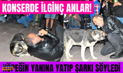 19 Mayıs'ı sahnede kutlayan Haluk Levent, sokak köpeğiyle yere uzanarak şarkı söyledi