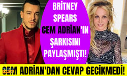 Cem Adrian'dan Britney Spears'ın Kül şarkısını paylaşmasına yorum: Dünya tuhaf bir yer