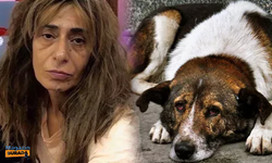 Yıldız Tilbe'den Hatay'daki köpeklerin öldürülmesine tepki