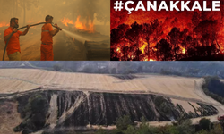 Son Dakika! Çanakkale ve Eskişehir'deki orman yangınları kontrol altına alındı mı?