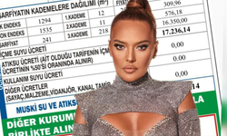 Demet Akalın küplere bindi… “Kafayı yediniz”