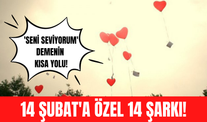 14 Şubat Sevgililer Günü'nde aşkınıza atabileceğiniz 14 şarkı!