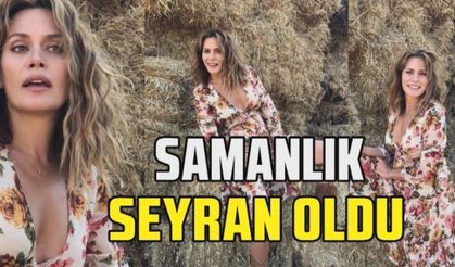 46'lık Ebru Cündübeyoğlu'ndan seksi samanlık pozları