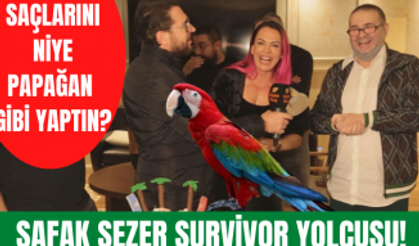 Survivor 2022 All Star yarışmacısı Nagihan Karadere'ye kutlama! Şafak Sezer Survivor'a mı gidiyor?