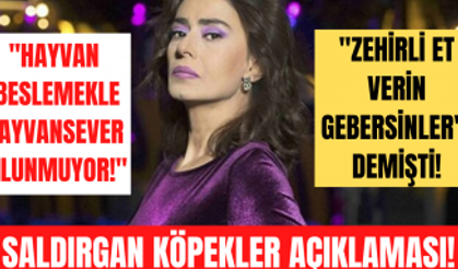 Yıldız Tilbe tepki çeken 'saldırgan köpekler' önerisi hakkında açıklama yaptı!