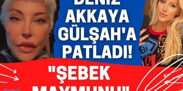 Deniz Akkaya ve Gülşah Saraçoğlu birbirine girdi! Deniz Akkaya: Çocuğunu bir kenara atmış geziyor...