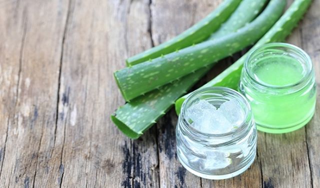 Aloe Vera Nedir? Faydaları Nelerdir?