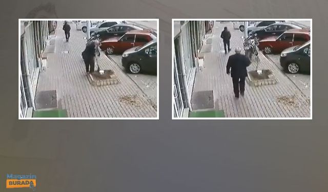 Yolda Yürürken Ağacı Kökünden Söken Adam Tepki Çekti