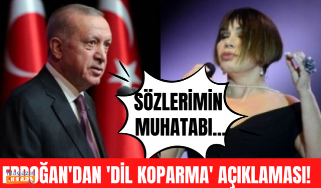 Cumhurbaşkanı Erdoğan'dan Sezen Aksu hakkında yeni açıklama!