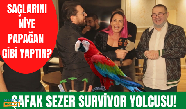 Survivor 2022 All Star yarışmacısı Nagihan Karadere'ye kutlama! Şafak Sezer Survivor'a mı gidiyor?