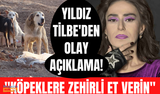 Yıldız Tilbe'den tepki çekecek çıkış: Saldırgan köpeklere zehirli et verin, gebersinler