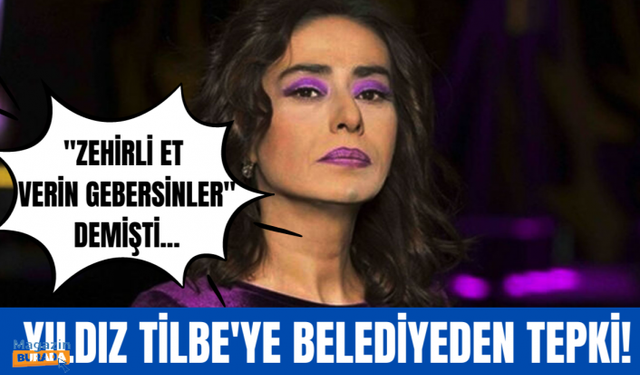 Yıldız Tilbe'nin 'saldırgan köpekler' yorumuna belediyeden olay cevap!