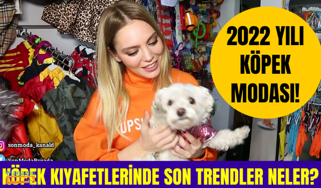 Köpek kıyafetlerinde son trendler neler? Köpekler nasıl giydirilmeli? 2022 köpek modası