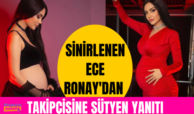 Sinirlerine hakim olamayan Ece Ronay'dan takipçisine sütyen yanıtı