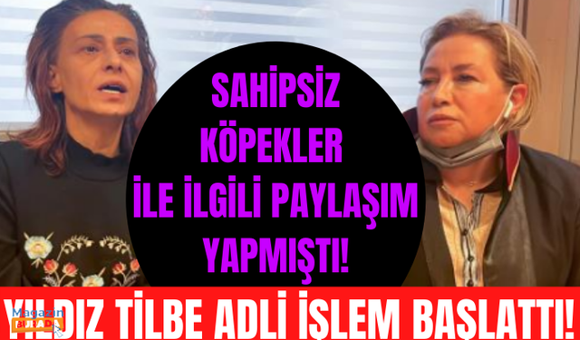 Yıldız Tilbe, sahipsiz köpeklerle ilgili söylediklerinden dolayı linç edildiği için suç duyurusunda bulundu