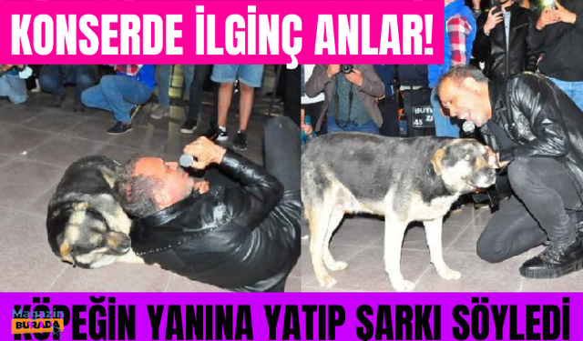 19 Mayıs'ı sahnede kutlayan Haluk Levent, sokak köpeğiyle yere uzanarak şarkı söyledi