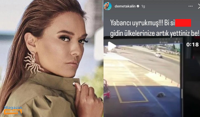 Demet Akalın'dan köpeği ezen yabancı uyruklu şahsa küfürlü tepki!