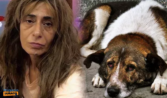 Yıldız Tilbe'den Hatay'daki köpeklerin öldürülmesine tepki