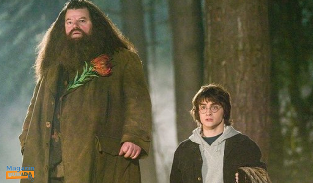 Harry Potter hayranlarına kötü haber geldi! Dünyaca ünlü oyuncu hayatını kaybetti!