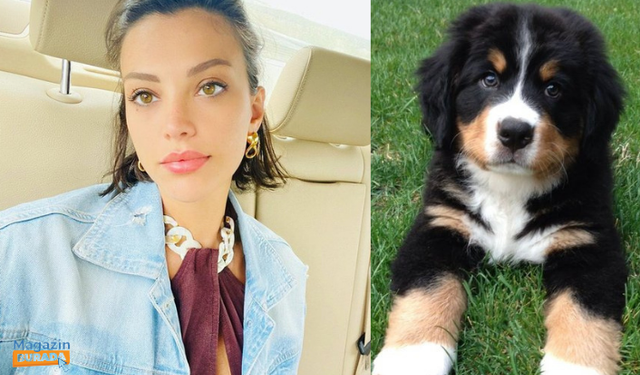 Tuvana Türkay, köpeğinin peşinden denize atladı