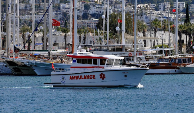 Ünlü iş insanı arı sokması nedeniyle yaşamını yitirdi!