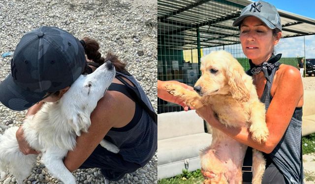 Şebnem Çapa’dan örnek davranış. Barınaktan 25 köpek aldı…