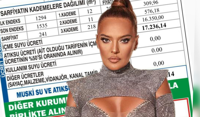 Demet Akalın küplere bindi… “Kafayı yediniz”