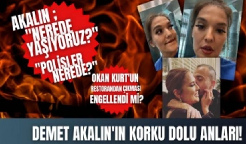 Demet Akalın'ın korku dolu anları! Sosyal medyadan yardım istedi...