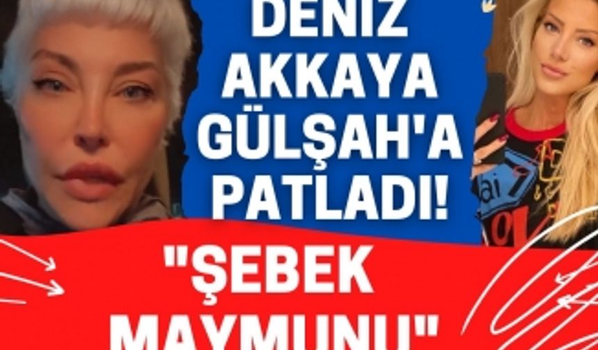 Deniz Akkaya ve Gülşah Saraçoğlu birbirine girdi: Çocuğunu bir kenara atmış geziyor...